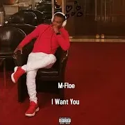 M-Floe